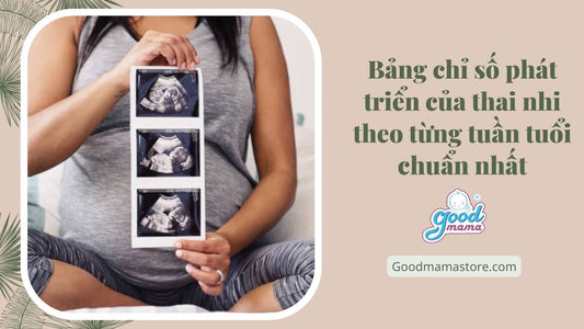 Bảng chỉ số phát triển của thai nhi theo từng tuần tuổi chuẩn nhất