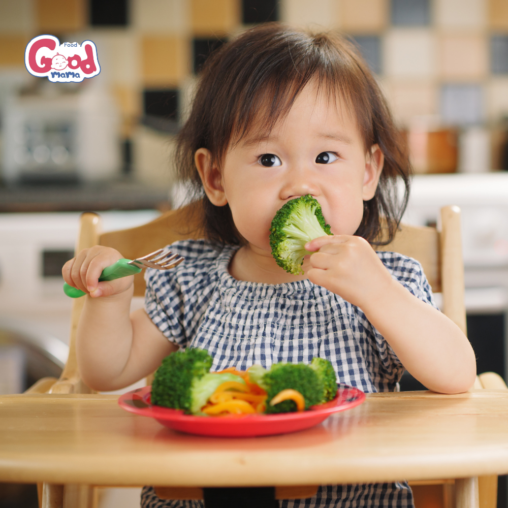 CÁC PHƯƠNG PHÁP ĂN DẶM CHO BÉ – HƯỚNG DẪN CHI TIẾT CHO MẸ BỈM