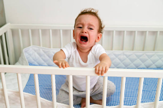 Trẻ ăn vạ - Cách hay giúp cha mẹ chữa tật ăn vạ của bé