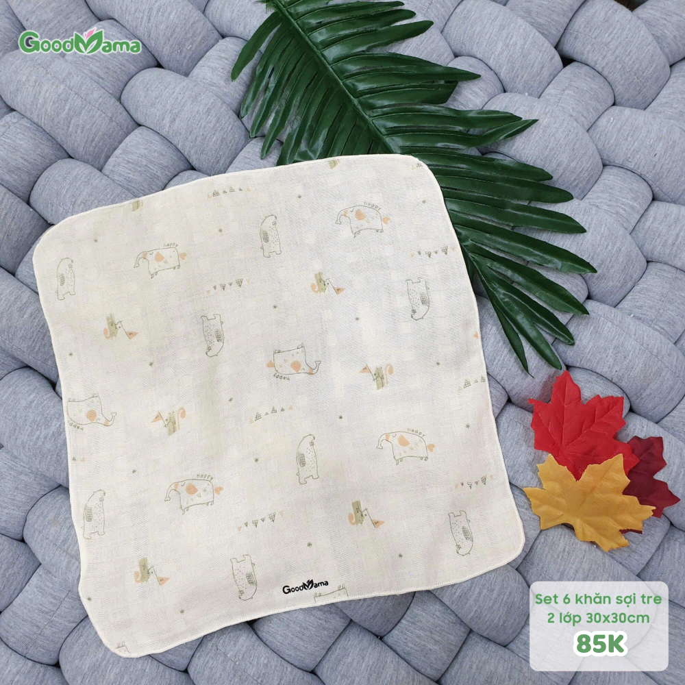 Khăn xô sữa Goodmama 2 lớp Bamboo set 5 khăn 30*30