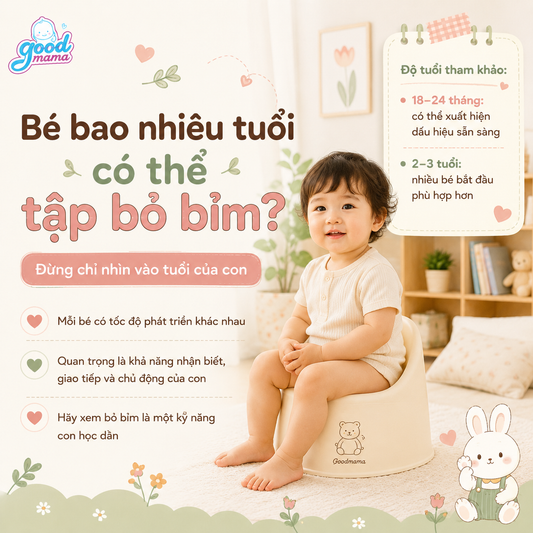 Bé bao nhiêu tuổi có thể tập bỏ bỉm? Đừng chỉ nhìn vào tuổi của con
