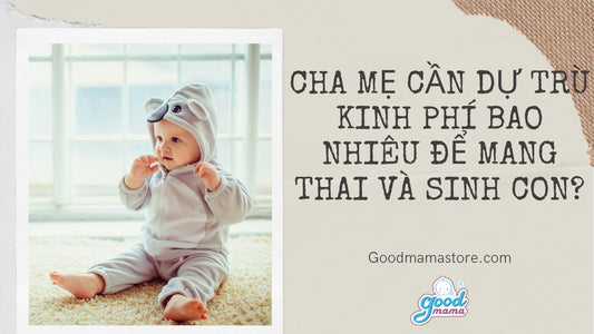 Cha mẹ cần dự trù kinh phí bao nhiêu tiền để mang thai và sinh con?