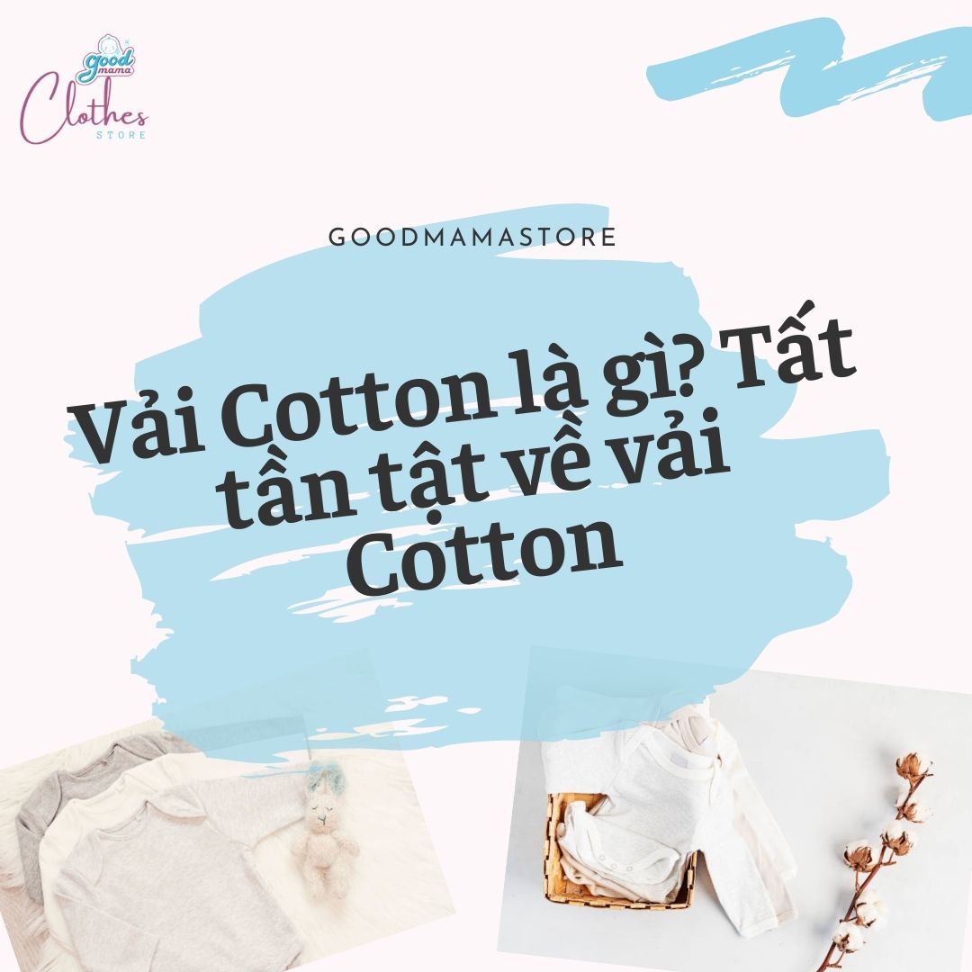 Vải Cotton là gì? Kiến thức từ A – Z về chất liệu vải cotton