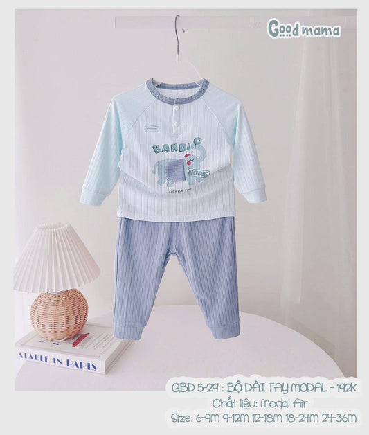 GBD 5 - 29: BỘ DÀI TAY MODAL